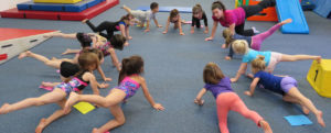 Img 0084 Img 0084