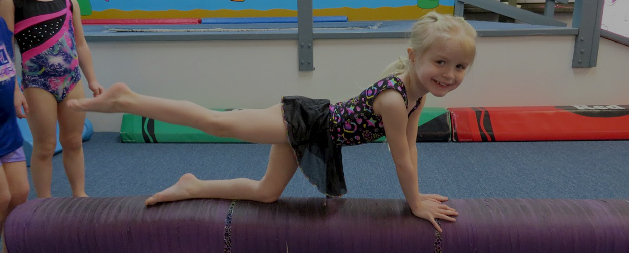 Classes Scamps Gymnastics